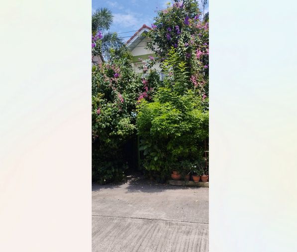ขายบ้านเดี่ยว 3 ห้องนอน 195 ตร.ม. 50 ตร.ว. พนาสนธิ์การ์เดนโฮม 8