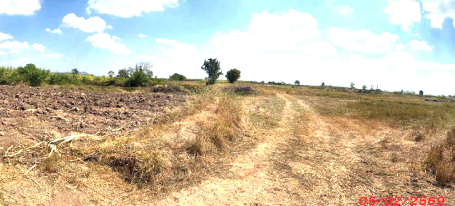 picture LAND 12377 Sq.w. Dan Khun Thot Nakhon Ratchasima for 7.4M - 13/19