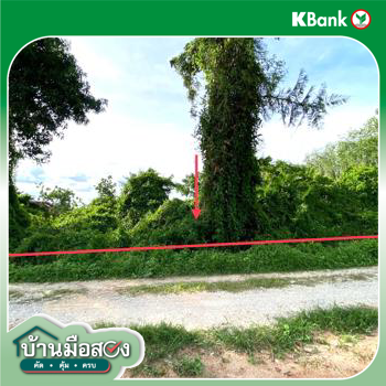 รูป ที่ดินว่างเปล่า 12454 ตร.วา เขาชัยสน พัทลุง 7.8M - รูปที่ 23/25