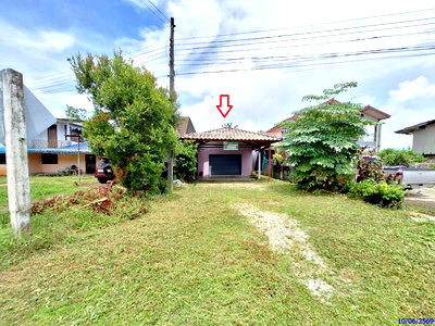 บ้านเดี่ยว ตรัง : บ้านเดี่ยว 178 ตร.วา วังวิเศษ ตรัง 2.9M