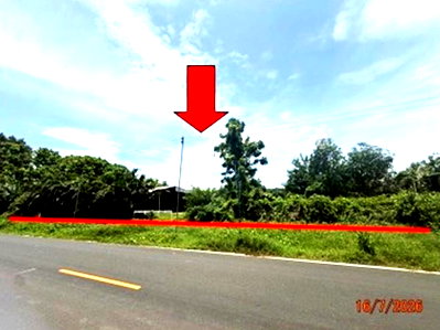 บ้านเดี่ยว ขุนหาญ ศรีสะเกษ : บ้านเดี่ยว 4218 ตร.วา ขุนหาญ ศรีสะเกษ 15M