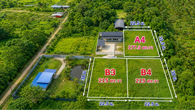 รูป ต้องดารขายที่ดิน คลอง 10 ซอย 300 ไร่ - รูปที่ 3/7