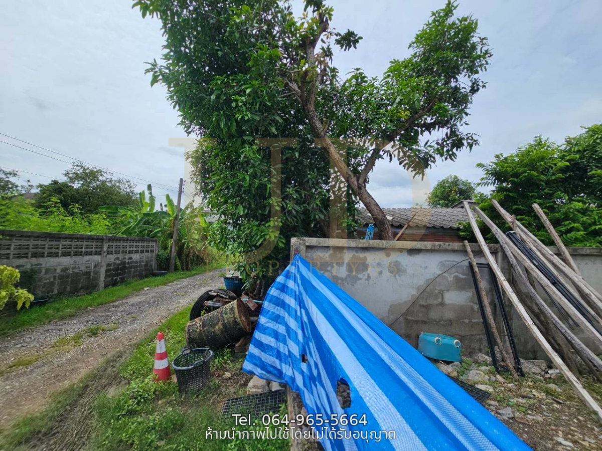 รูป ขายที่ดินถมแล้ว 100 ตร.ว. ซอยหนองระแหง 4 คลองสามวา แปลงสวย ทรงสี่เหลี่ยมจัตุรัส เหมาะสำหรับสร้างบ้านอยู่อาศัย  - รูปที่ 7/9