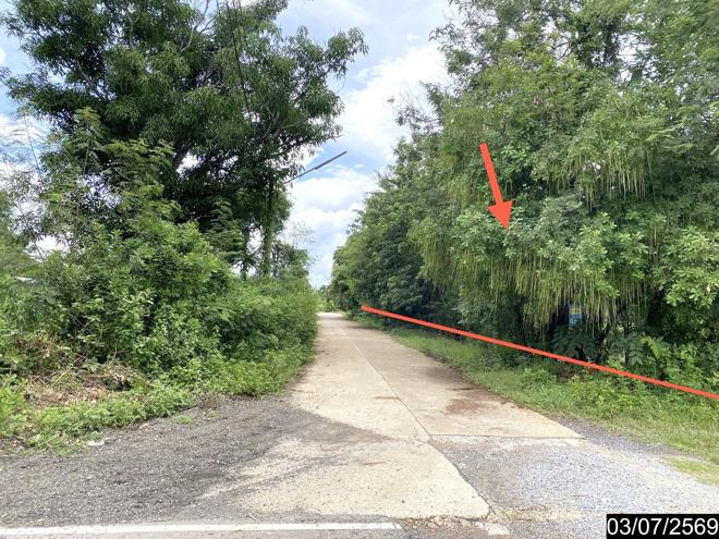 รูป ที่ดินว่างเปล่า 2956 ตร.วา นากลาง หนองบัวลำภู 5M - รูปที่ 7/25