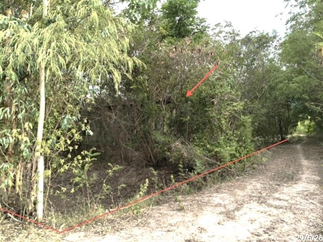 picture LAND 277 Sq.w. Muang Surin Surin for 824,000 - 2/17