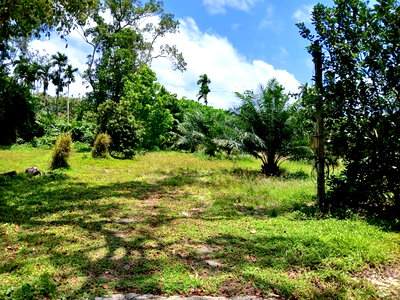 ที่ดิน สนามบินภูเก็ต : ที่ดินภูเก็ตซีวิว แปลง1ไร่บ้านบ่อส้อม