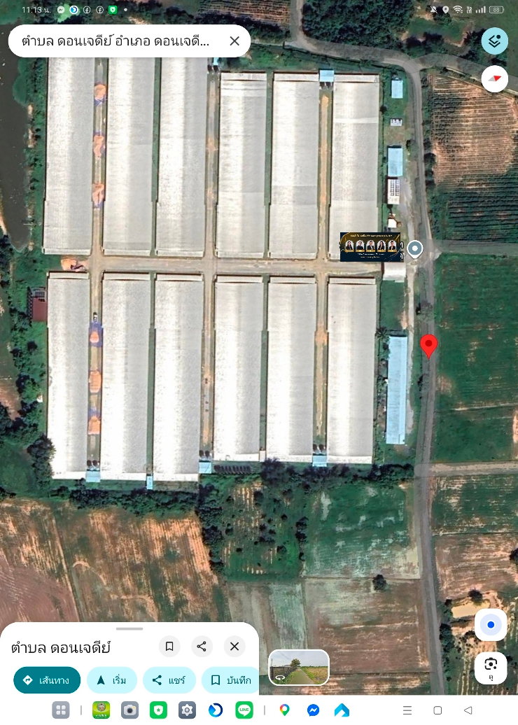 41ไร่แถมฟาร์มไก่เนื้อ12หลัง350000ตัว