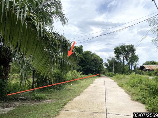 รูป ที่ดินว่างเปล่า 2956 ตร.วา นากลาง หนองบัวลำภู 5M - รูปที่ 9/25
