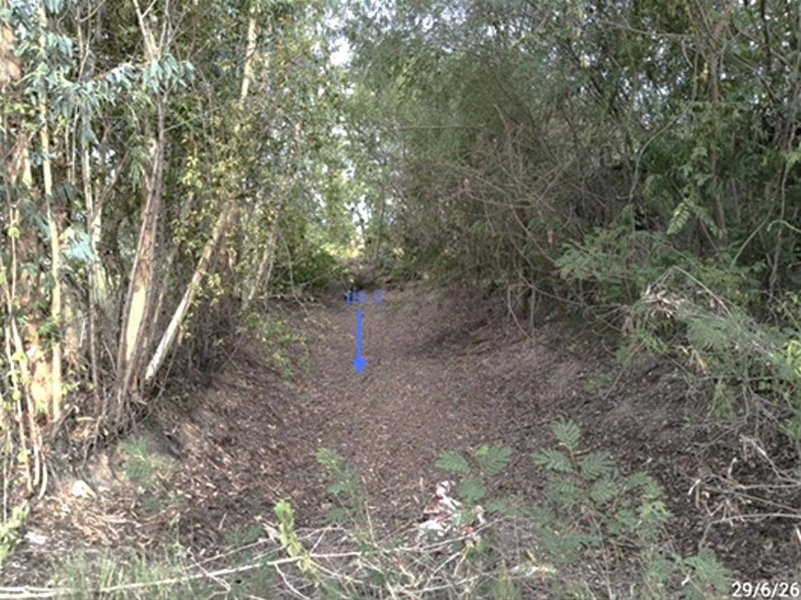 picture LAND 277 Sq.w. Muang Surin Surin for 824,000 - 13/17