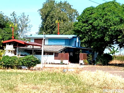 ขายบ้านเดี่ยว : บ้านเดี่ยว 7889.5 ตร.วา วังสมบูรณ์ สระแก้ว 7.4M