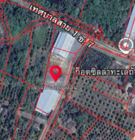 รูป L260144 | ขายที่ดินแปลงสวย 300 ตร.ว. (ถมแล้ว) เขาวัว ท่าใหม่ จันทบุรี เหมาะสร้างบ้าน ล้งทุเรียน และโฮมสเตย์ - รูปที่ 6/7