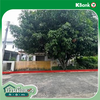 listing thumbnail image 40