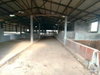 listing thumbnail image 45