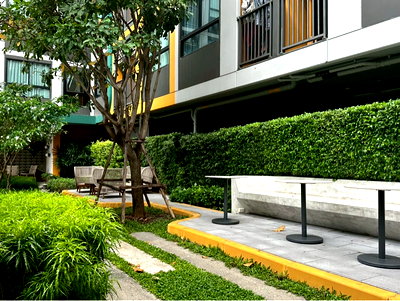 Condos for rent : Condo for rent at The Muve Bangkae