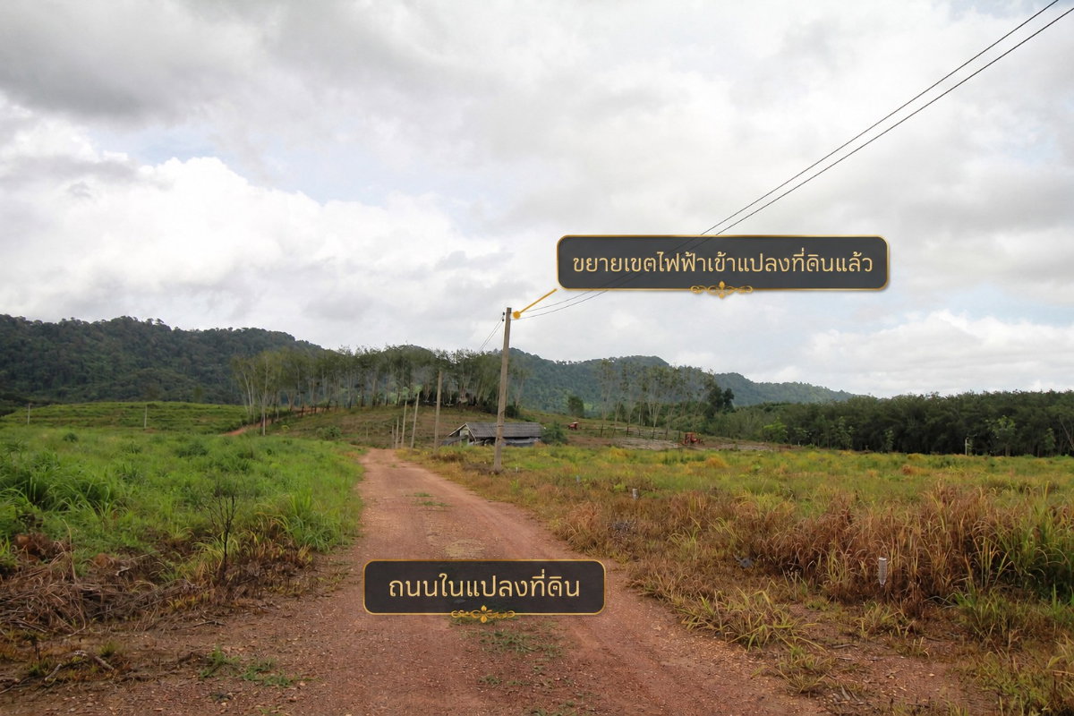 รูป ขายที่ดิน 121 ไร่ ใกล้แยกนายายอาม จันทบุรี ติดถนนลาดยาง 2 ด้าน ไฟฟ้าพร้อม มีสระน้ำและบ่อบาดาล  - รูปที่ 15/21