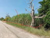 listing thumbnail image 11