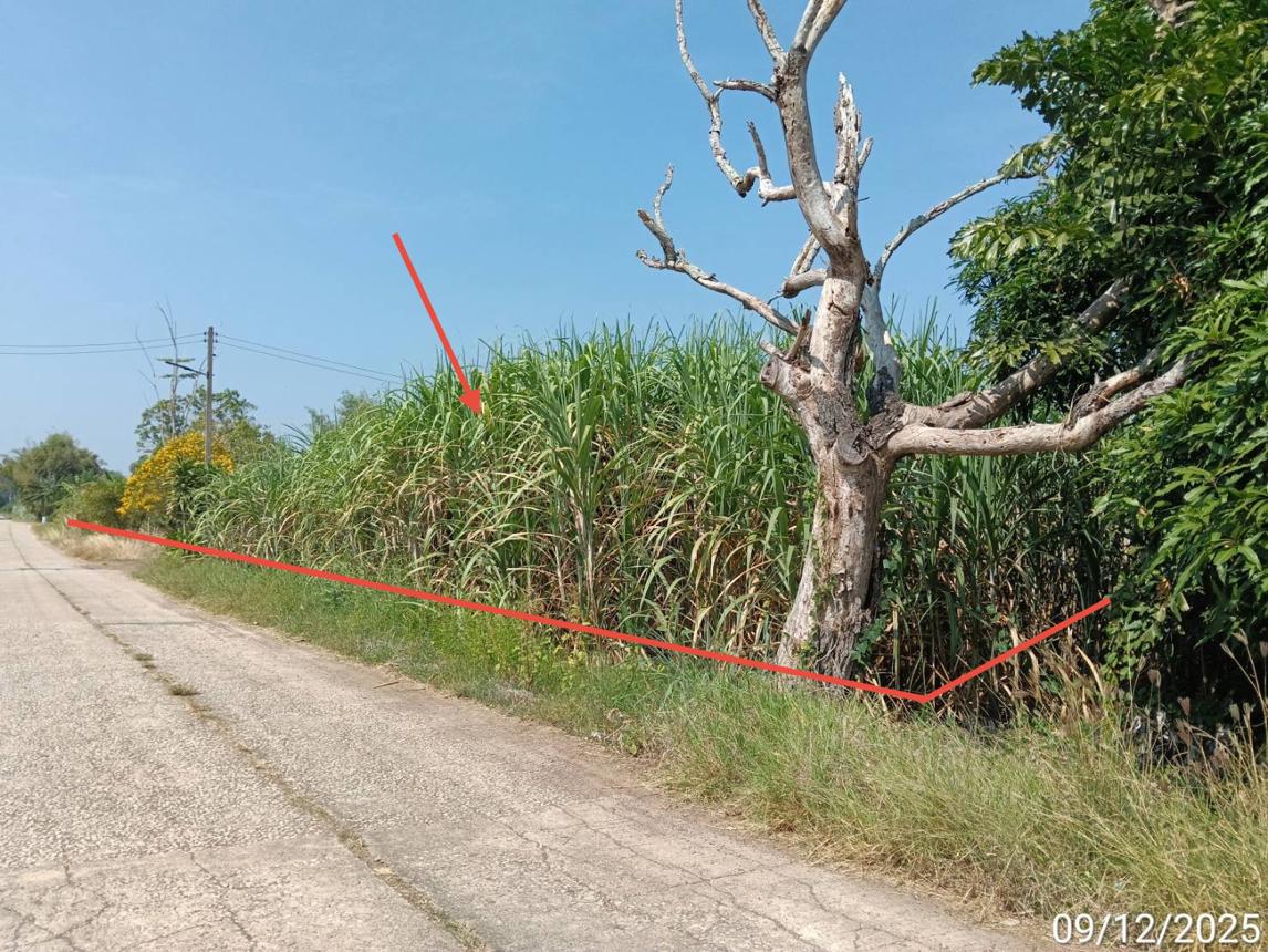 รูป บ้านเดี่ยว 7889.5 ตร.วา วังสมบูรณ์ สระแก้ว 7.4M - รูปที่ 12/17