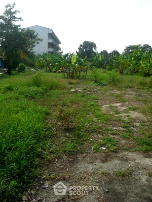 ที่ดิน ถนนทวีวัฒนา : ที่ดินขายในบางแคเหนือ บางแค กรุงเทพฯ (ID 3235854)