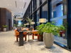 listing thumbnail image 12
