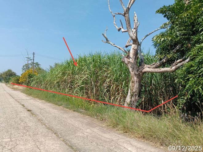 รูป บ้านเดี่ยว 7889.5 ตร.วา วังสมบูรณ์ สระแก้ว 7.4M - รูปที่ 6/17