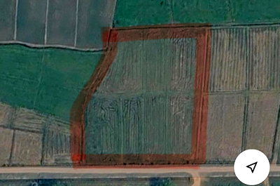 Land for sale : Urgent Sale! 3 Rai Beautiful Land in Mae Lao, Chiang Rai
