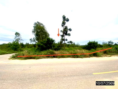 Land for sale Kut Chap Udon Thani : LAND 12067 Sq.w. Kut Chap Udon Thani for 4.5M
