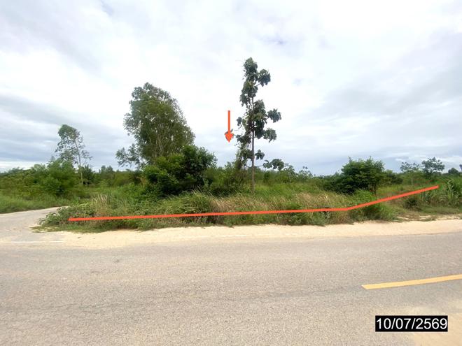 picture LAND 12067 Sq.w. Kut Chap Udon Thani for 4.5M - 1/21