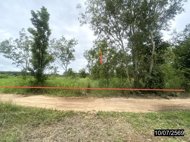 picture LAND 12067 Sq.w. Kut Chap Udon Thani for 4.5M - 5/21