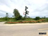 listing thumbnail image 17