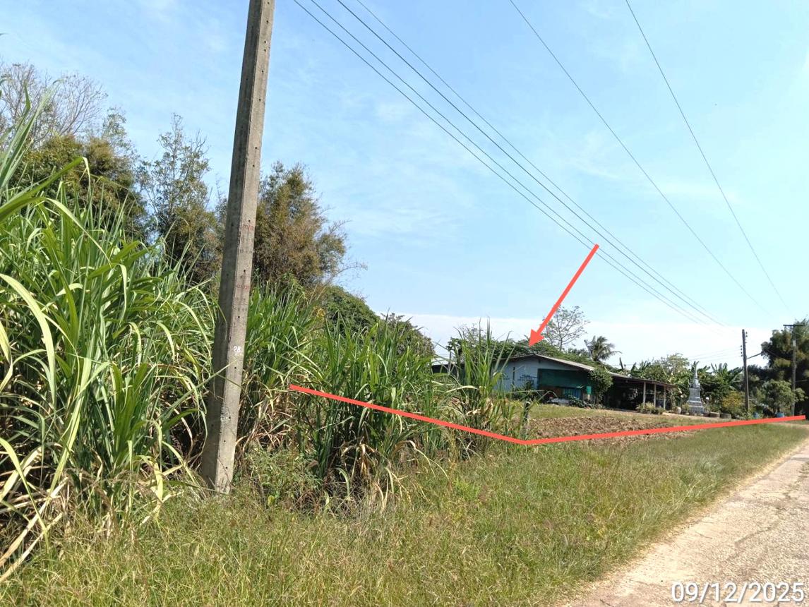 รูป บ้านเดี่ยว 7889.5 ตร.วา วังสมบูรณ์ สระแก้ว 7.4M - รูปที่ 13/17
