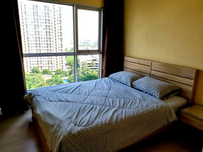 Condos for sale : 🏠✨ Aspire Sathorn – Taksin (Timber Zone) | 1 Bedroom for Sale (HBH-TB-239)
