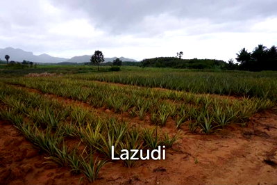 Land for sale : Land for Sale 12-2-20 Rai with Mountain Views in Nong Phlap Hua Hin