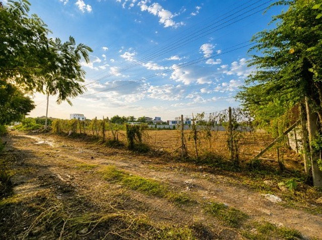 รูป ขายที่ดินกรุงเทพกรีฑา 18 แยก 1 เนื้อที่ 421 ตร.ว. ถมแล้ว ใกล้โรงเรียนนานาชาติเวลลิงตัน - รูปที่ 2/8