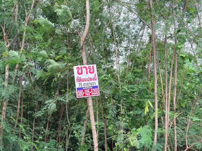 ขายที่ดิน 75 ตร.ว. เขตคลองสามวา