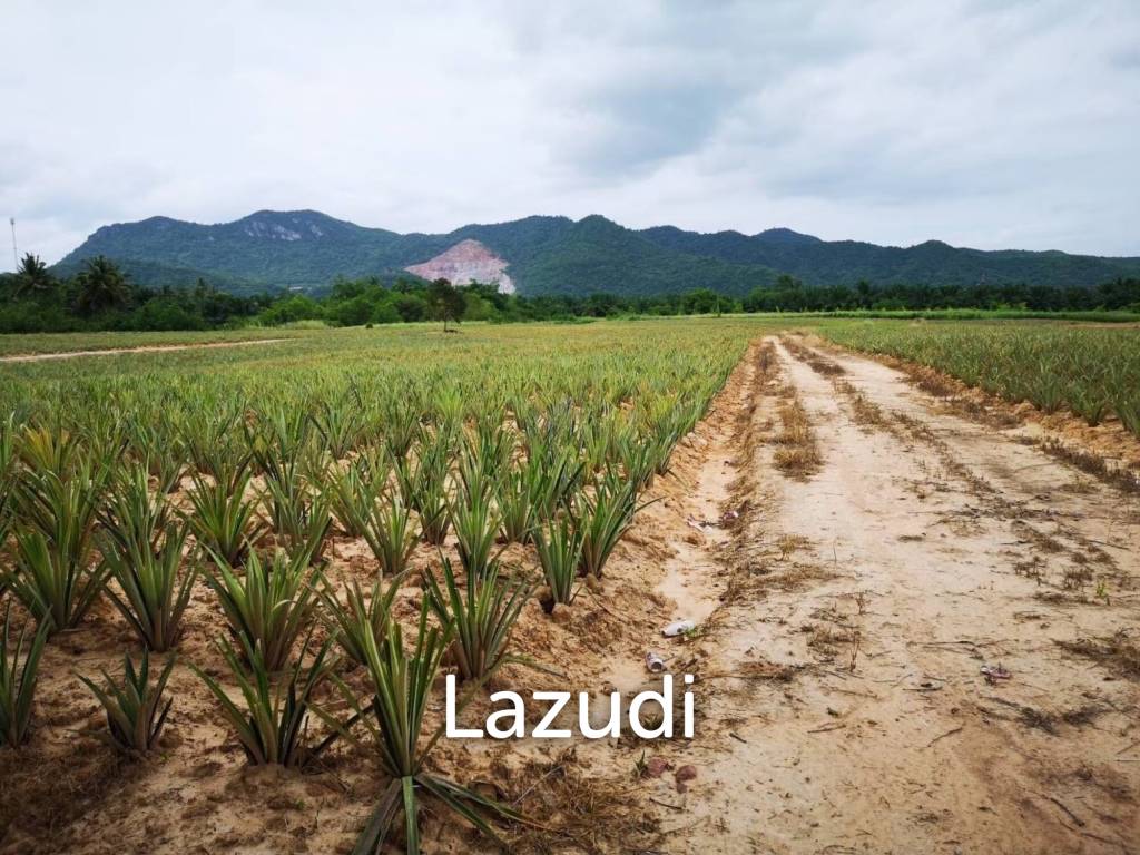 รูป ขายที่ดิน 12-2-20 ไร่ วิวภูเขา หนองพลับ หัวหิน - รูปที่ 11/14