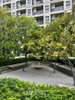 listing thumbnail image 42