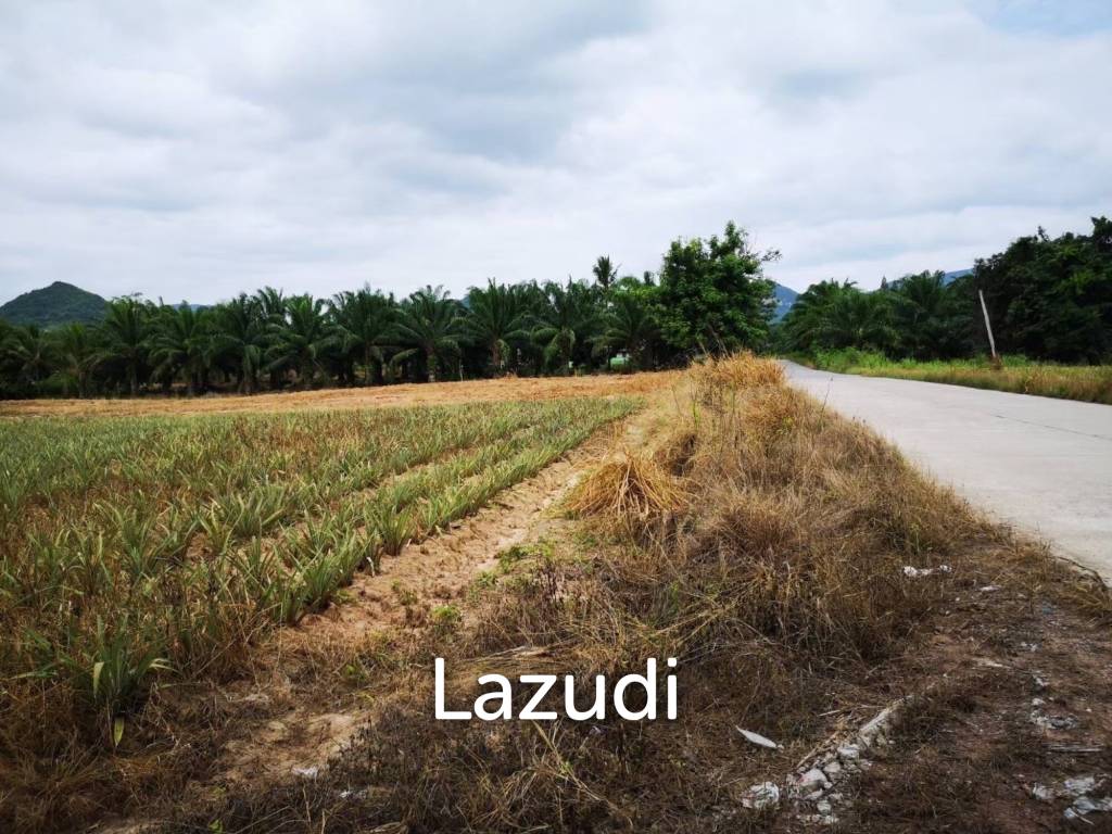 รูป ขายที่ดิน 12-2-20 ไร่ วิวภูเขา หนองพลับ หัวหิน - รูปที่ 14/14