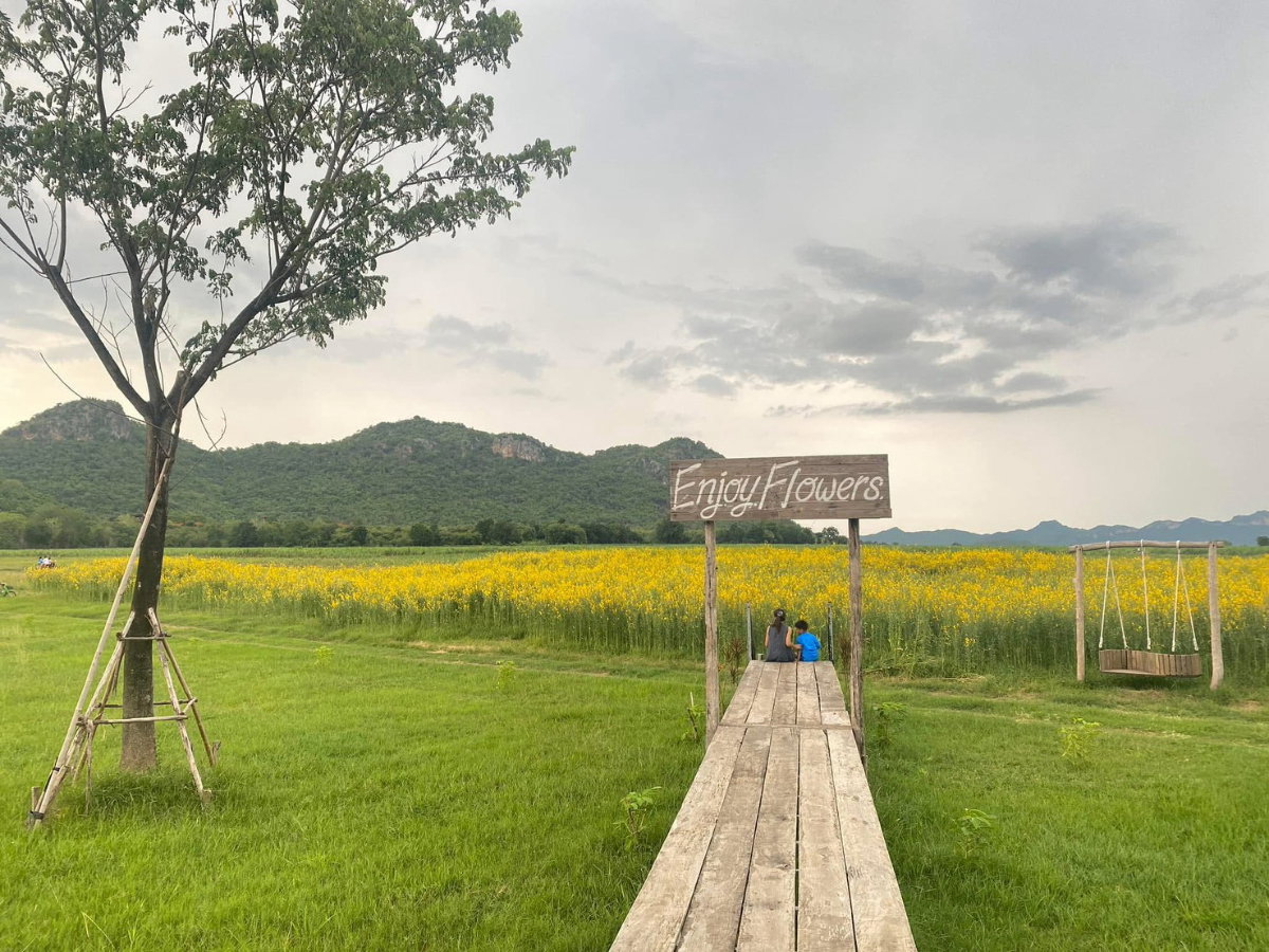 รูป ขายที่ดินสวย 2 แปลง กาญจนบุรี ท่าม่วง วิวภูเขา เคยเป็นสวนดอกไม้ ติดถนนลาดยาง - รูปที่ 6/6