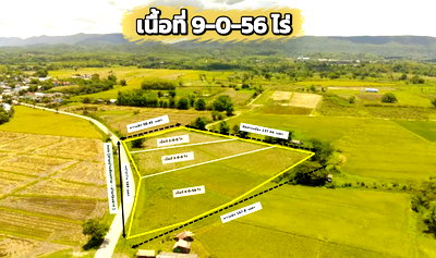 ที่ดิน พาน เชียงราย : ที่ดินเชียงราย 9 ไร่ 56 ตารางวา น้ำไม่ท่วม แผ่นดินไหวไม่กระทบหนัก