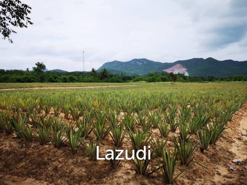 รูป ขายที่ดิน 12-2-20 ไร่ วิวภูเขา หนองพลับ หัวหิน - รูปที่ 9/14