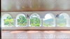 listing thumbnail image 31