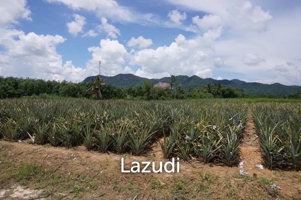 รูป ขายที่ดิน 12-2-20 ไร่ วิวภูเขา หนองพลับ หัวหิน - รูปที่ 4/14