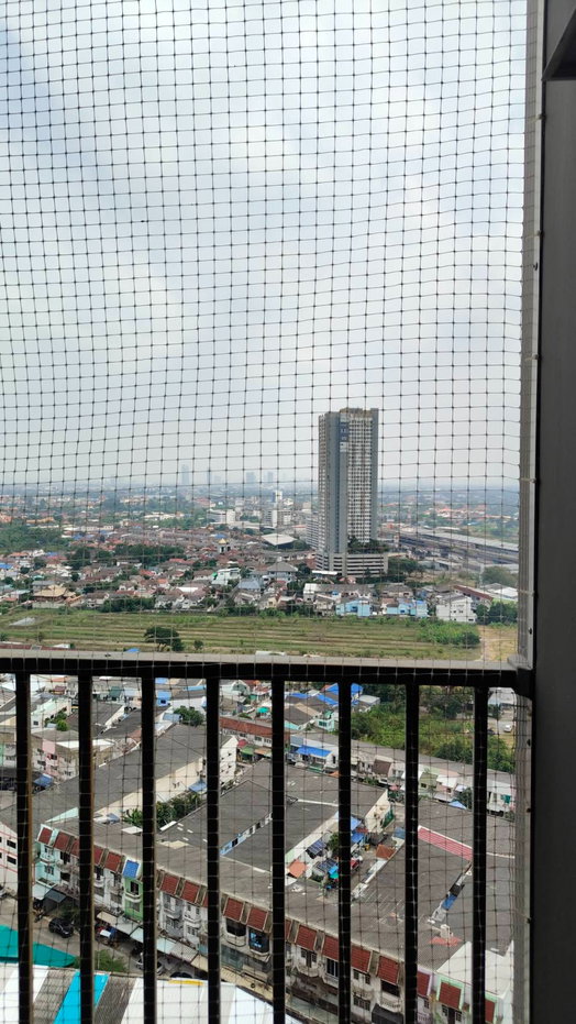 picture *** Condo for Rent : Plum Condo Central Station (Phase 1) *** - 13/13