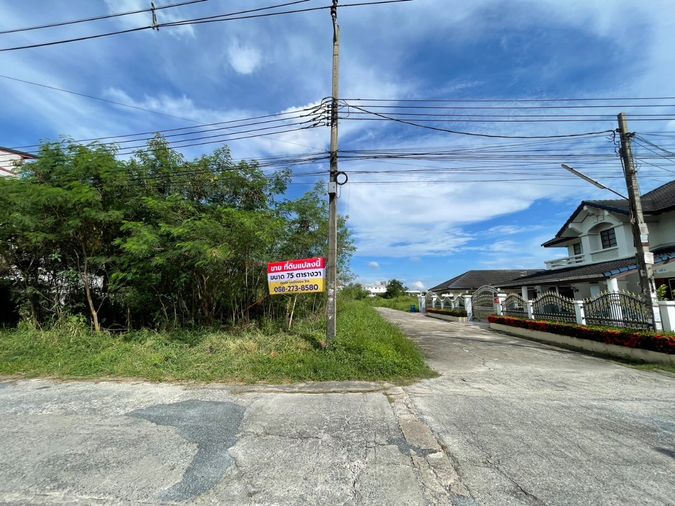 ขายที่ดิน 75 ตร.ว. เขตคลองสามวา