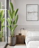 listing thumbnail image 24