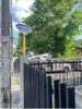 listing thumbnail image 11