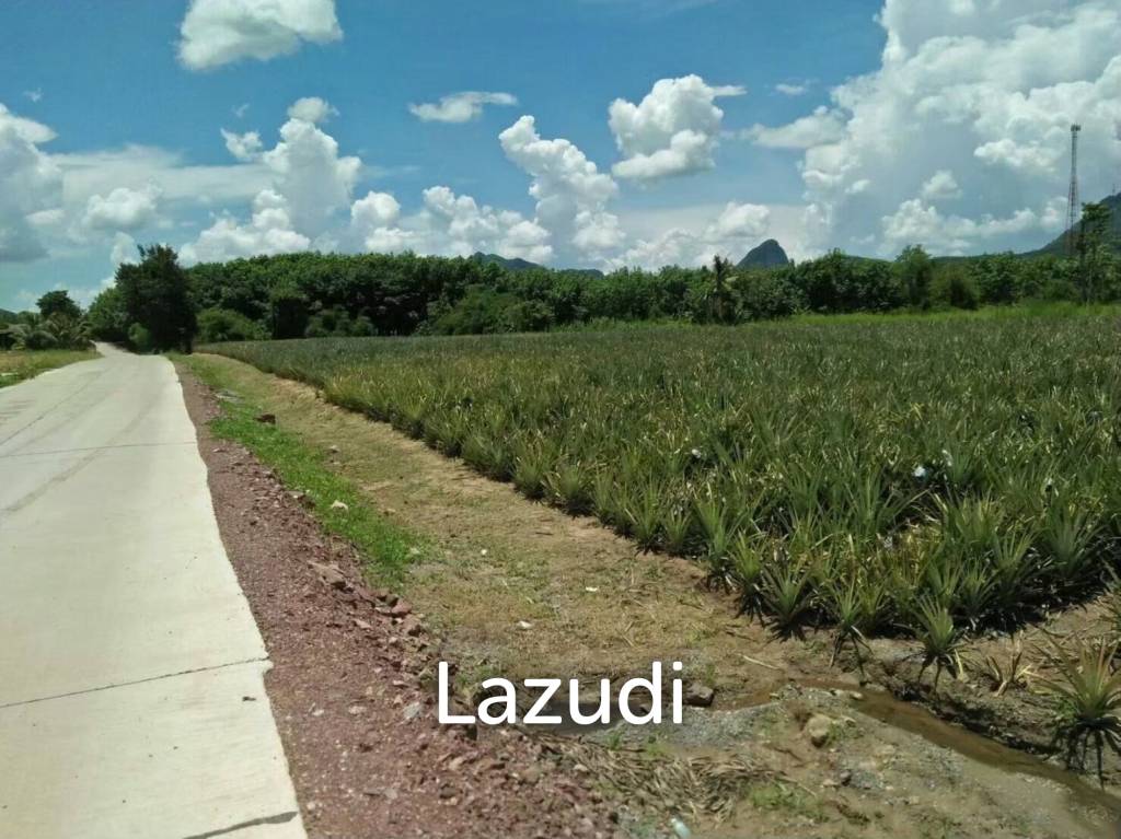 รูป ขายที่ดิน 12-2-20 ไร่ วิวภูเขา หนองพลับ หัวหิน - รูปที่ 12/14