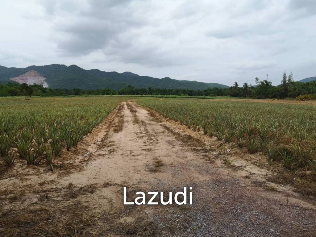 รูป ขายที่ดิน 12-2-20 ไร่ วิวภูเขา หนองพลับ หัวหิน - รูปที่ 13/14
