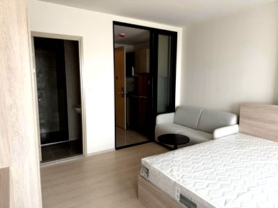 Condos for rent : dcondo vivid                     Rangsit 