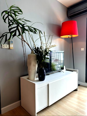 Condos for rent : A modern fully furnished apartment at the Seed Mingle , Sathon , Suan Plu soi 8  